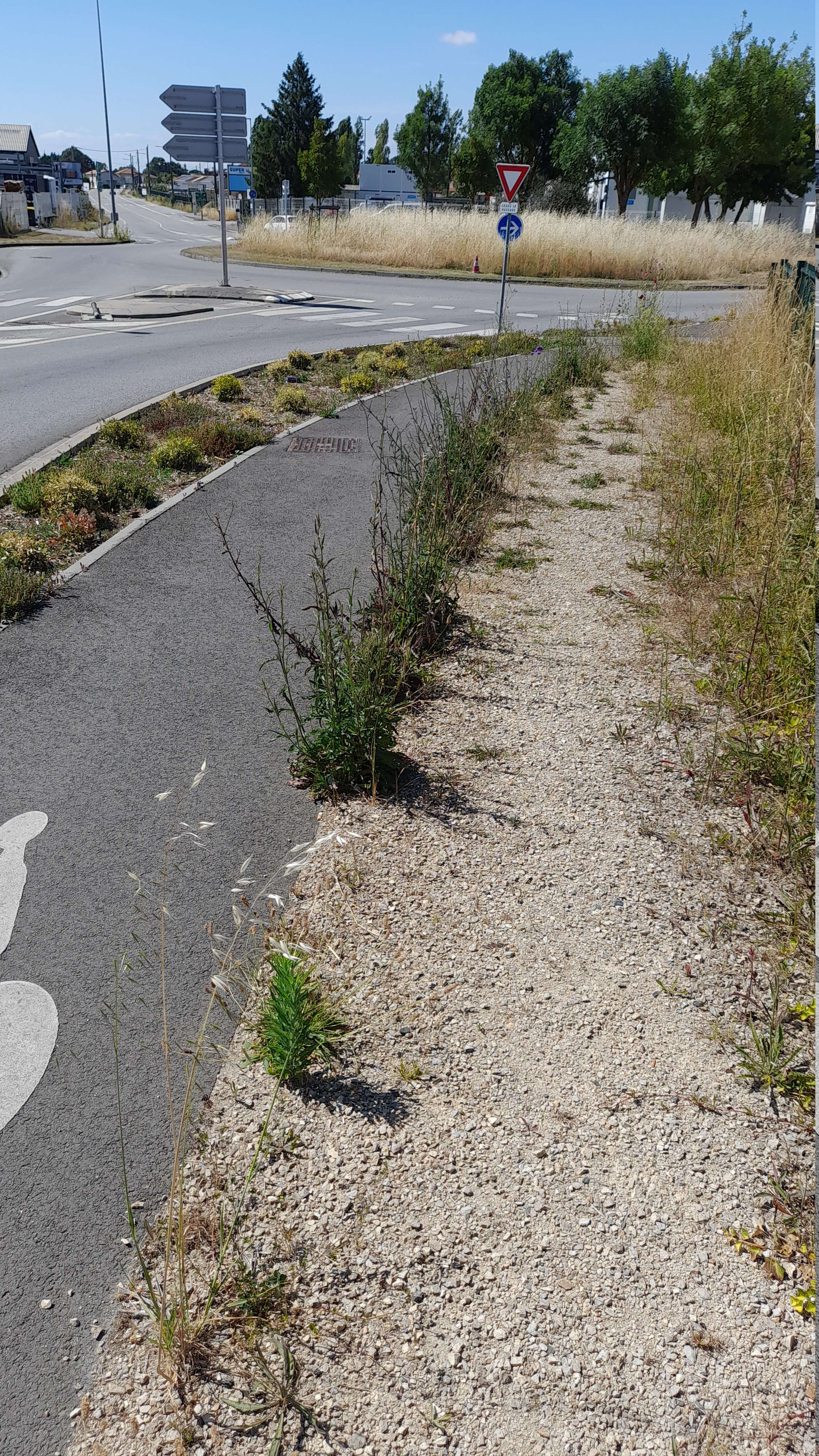 Piste cyclable sur trottoir